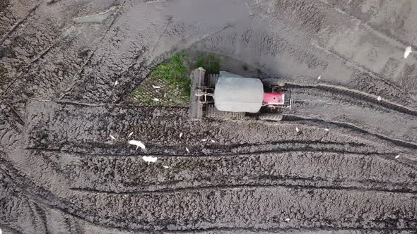 Wet soil in a paddy field being plowed by a tractor  alt