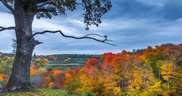  Timelapse of the Autumn Landscape, Colorful Foliage in the Fall Park