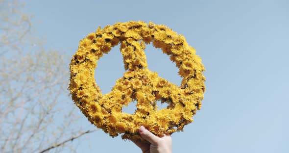 Handmade Peace Symbol Made of Yellow Dandelion Flowers on a Clear Blue Sky alt