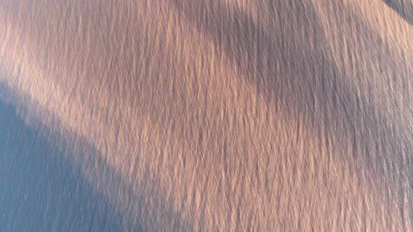 Stunning landscape of Amazon Forest at Amazonas State Brazil. alt