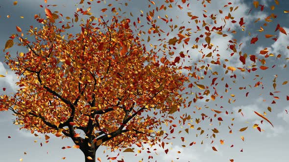 Concept Of Changing Of The Seasons From Spring To Autumn alt