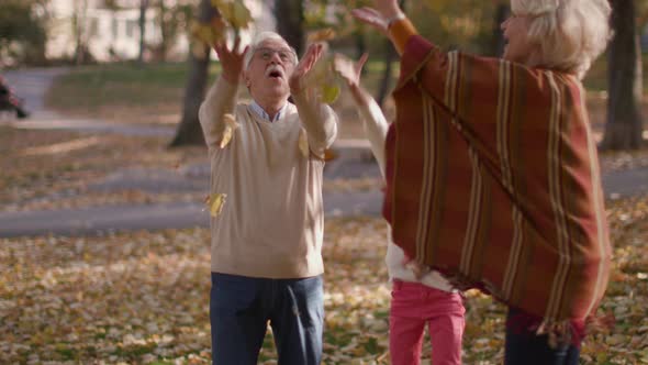 Grandparents enjoying good time with their cute little granddaughter in the autumn park