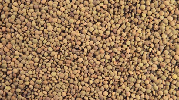Lentil Grains Rotation alt