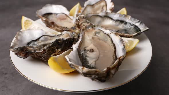 Fresh Oysters 15 alt