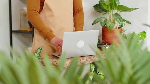 Florist Cashier Working in Flower Shop alt