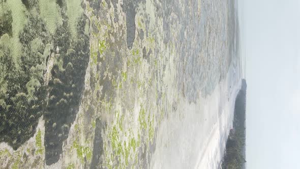 Zanzibar Tanzania  Vertical Video of Low Tide in the Ocean Near the Coast Slow Motion alt