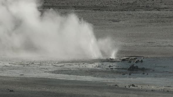 Geyser in Yellowstone National Park alt