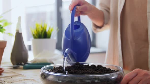 Close Up of Woman Watering Soil in Vase at Home