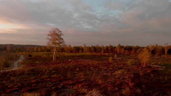 Amazing backwards flying aerial showing a moorland landscape at sunset with people walking on a dirt alt