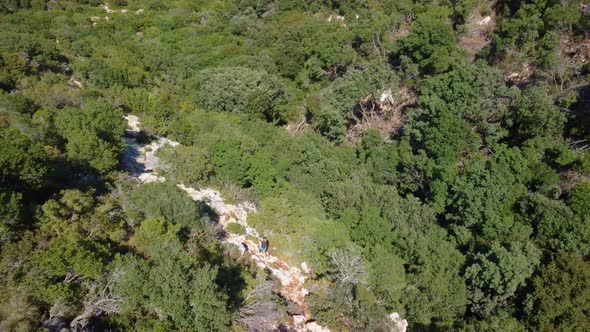 Landscape and Mediterranean vegetation of Kefalonia island in Greece alt