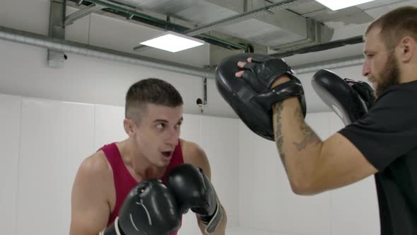 At a Boxing Training Session in the White Room a Man Beats His Gloved Hands on the Coach's Paws alt