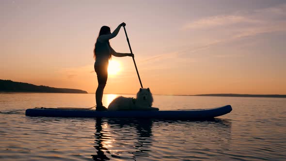 A Girl Supping with a White Dog alt