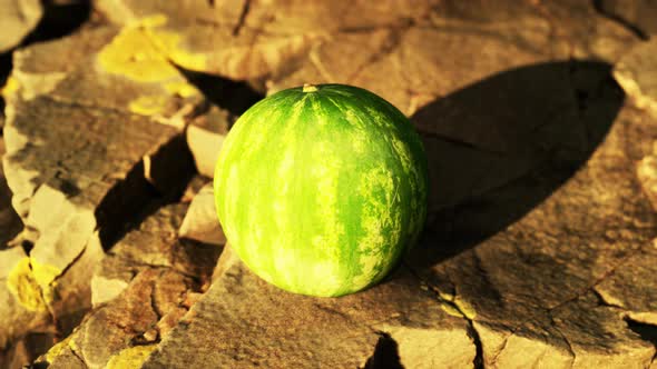 Watermelon Fruit Berry on Rocky Stones alt