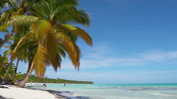 Caribbean white sand beach and blue sea, summer background, travel vacation, paradise island beach