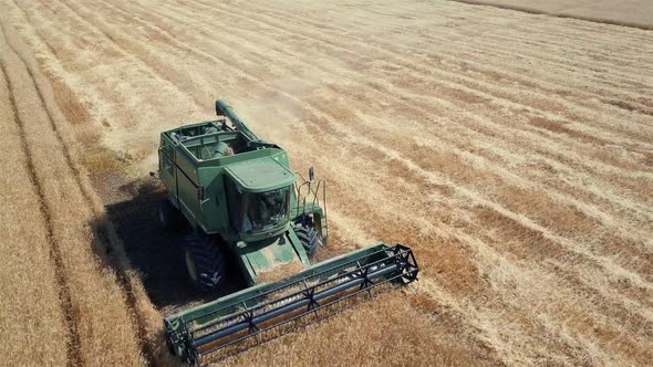 Aerial View of Combine Harvester Gathering Wheat at Sunset. Harvesting Grain Field, Crop Season alt