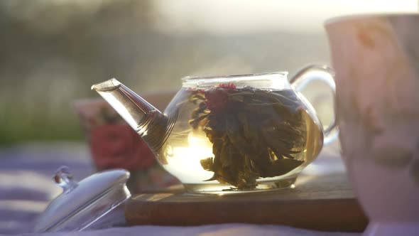 Hot Water Pours Into Full Tea Pot Outside in Nature on a Bright Sunny Day