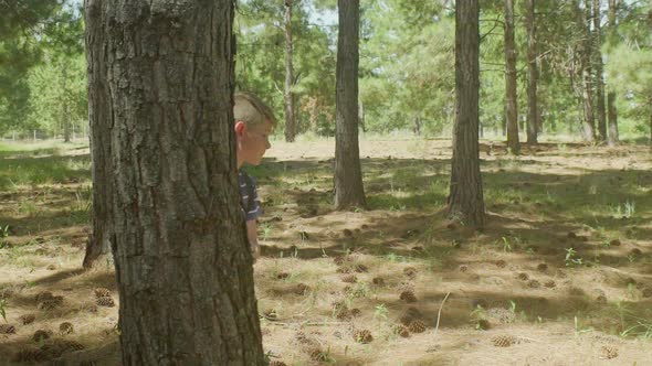 Boy running and hiding behind tree in woods alt