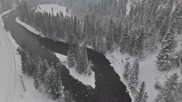 Snowy Landscape of Winter in Mountain River on Snowfall with Pine Trees of Snow Covered alt