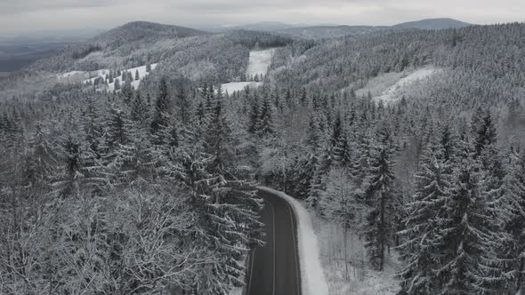 Panoramic View on the Wide Road Top of High Pine Trees and Mountains Covered with Snow in Winter alt