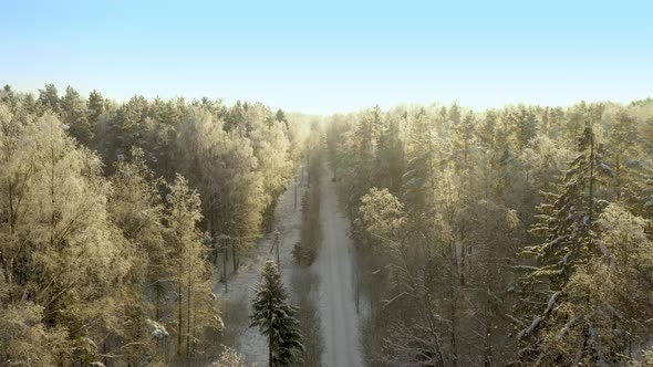 Beautiful Aerial View of the County Road in the Frozen Snowy Fairy Forest Sunny Weather