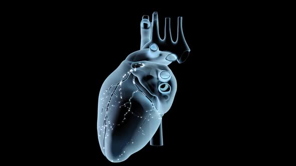 Coronary Blood Flow alt