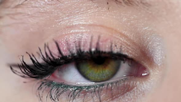Close Up Beautiful Green Eye of Woman, Opening and Blinking Human Iris Macro Natural Beauty. alt