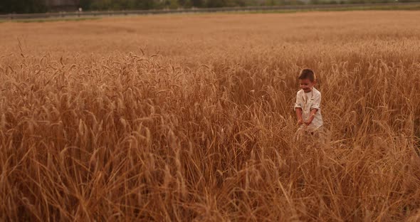 Happy Father Twisting Child on Meadow.