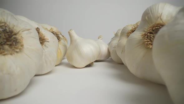 Garlic 56 alt
