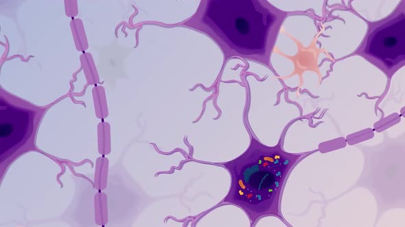 deathofneurons.mov alt