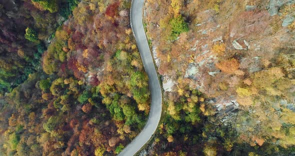 Overhead Aerial Top View Over Road in Colorful Countryside Autumn Forest