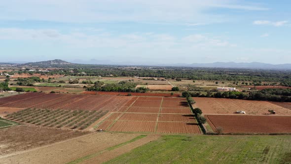 Farm Fields Dron  Video alt