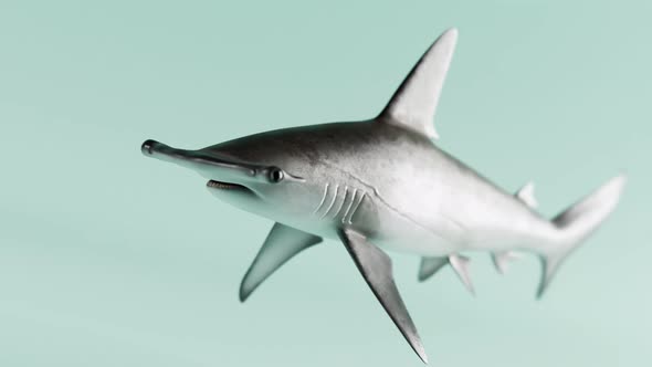 Swimming shark is turning into omega-3 capsules. Body's immunity product. 4K HD alt