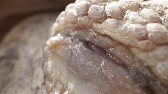 Giant tortoise slowly opening its eyeball eyelid alt