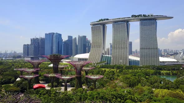 Aerial View of Supertree Grove, Gardens by the Bay, Marina Bay Sands and Financial District