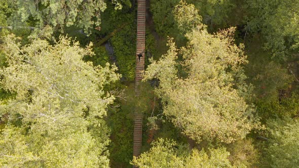 The top view on the person is walking on a suspension bridge Beautiful forest landscape alt
