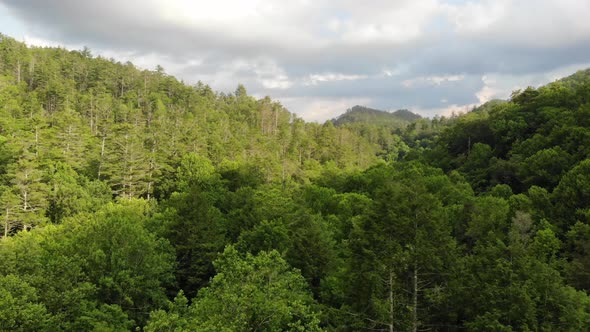mountain forest horizon reveal ascending aerial drone georgia chattahoochee national forest alt