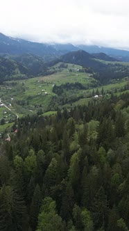Carpathian Mountains alt