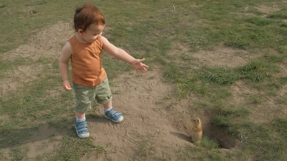 A Little Boy Happily Watching a Rodent in the Park