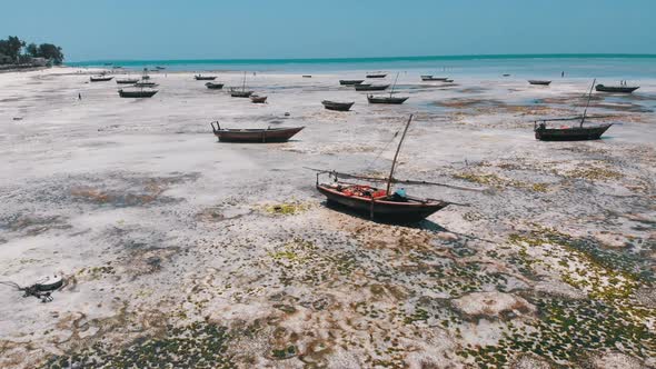 Lot of Fishing Boats Stuck in Sand Off Coast at Low Tide Zanzibar Aerial View alt