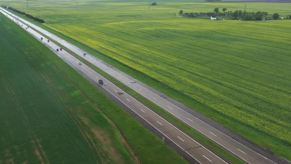 Top View of the Sown Green in Belarus alt