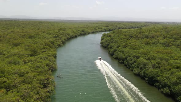 Boating On Caribbean Jungle River Follow Shot