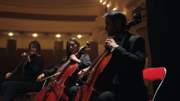 Cellists and Violinists are Playing Music on Scene of Opera House String Instruments Orchestra alt