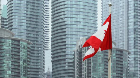 Flag of Canada Waving in Downtown Toronto with Financial Buildings Background