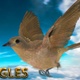 Brown nightingale flying from 3 different angles - VideoHive Item for Sale