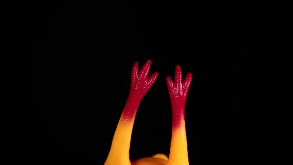 footage of rubber chicken dark background alt