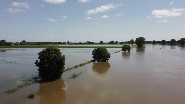 Floodplains and drowned trees at river Maas in the Netherlands, Aerial alt