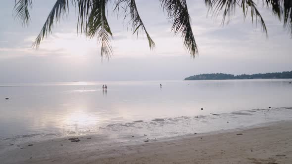 Push Back Shot From Sunset Over the Sea to Man Traveler Sitting on Palm Bent Over the Beach in alt