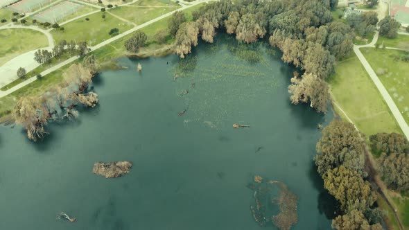 From the lake to the sea