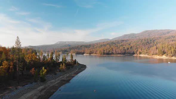 Aerial shot of blue lake surrounded by pine trees. alt
