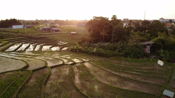 Rice Fields and Villas in Kerobokan, Bali